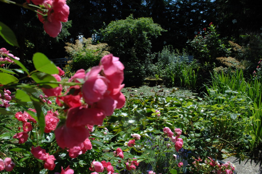 10. Rosenblatt Seniorensitz