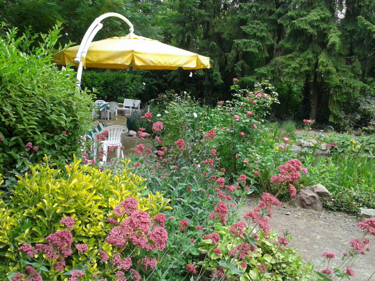 16. Rosenblatt Seniorensitz