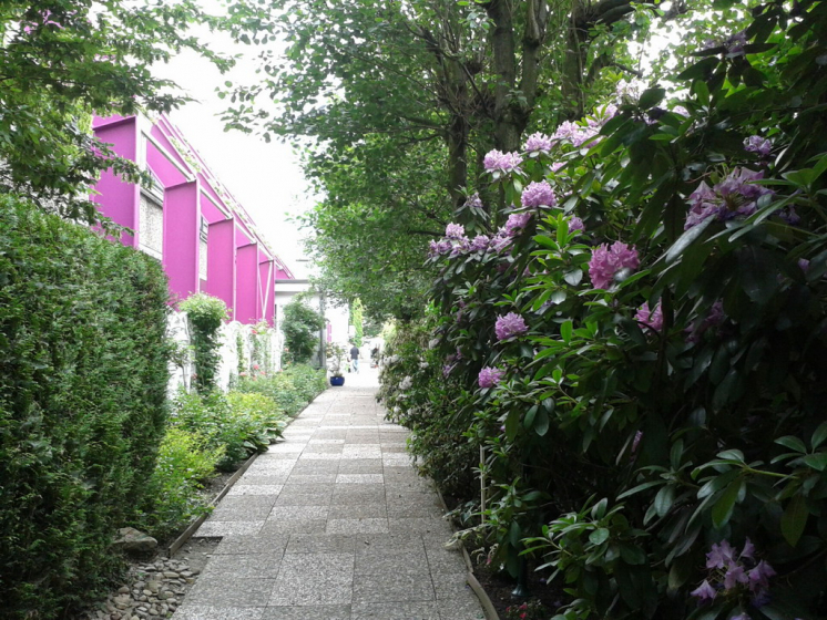 18. Rosenblatt Seniorensitz